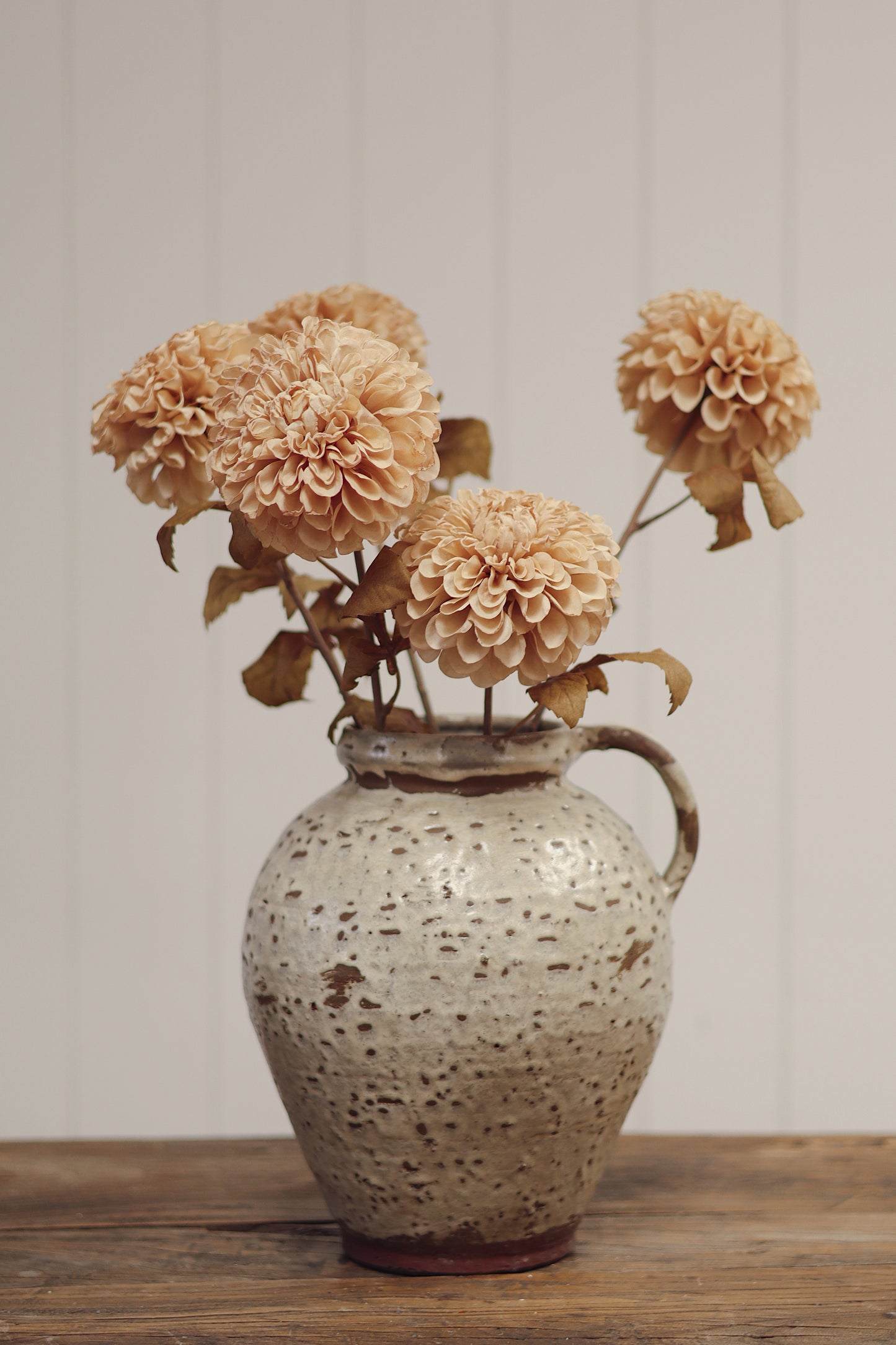 Pompon Dahlia Stem