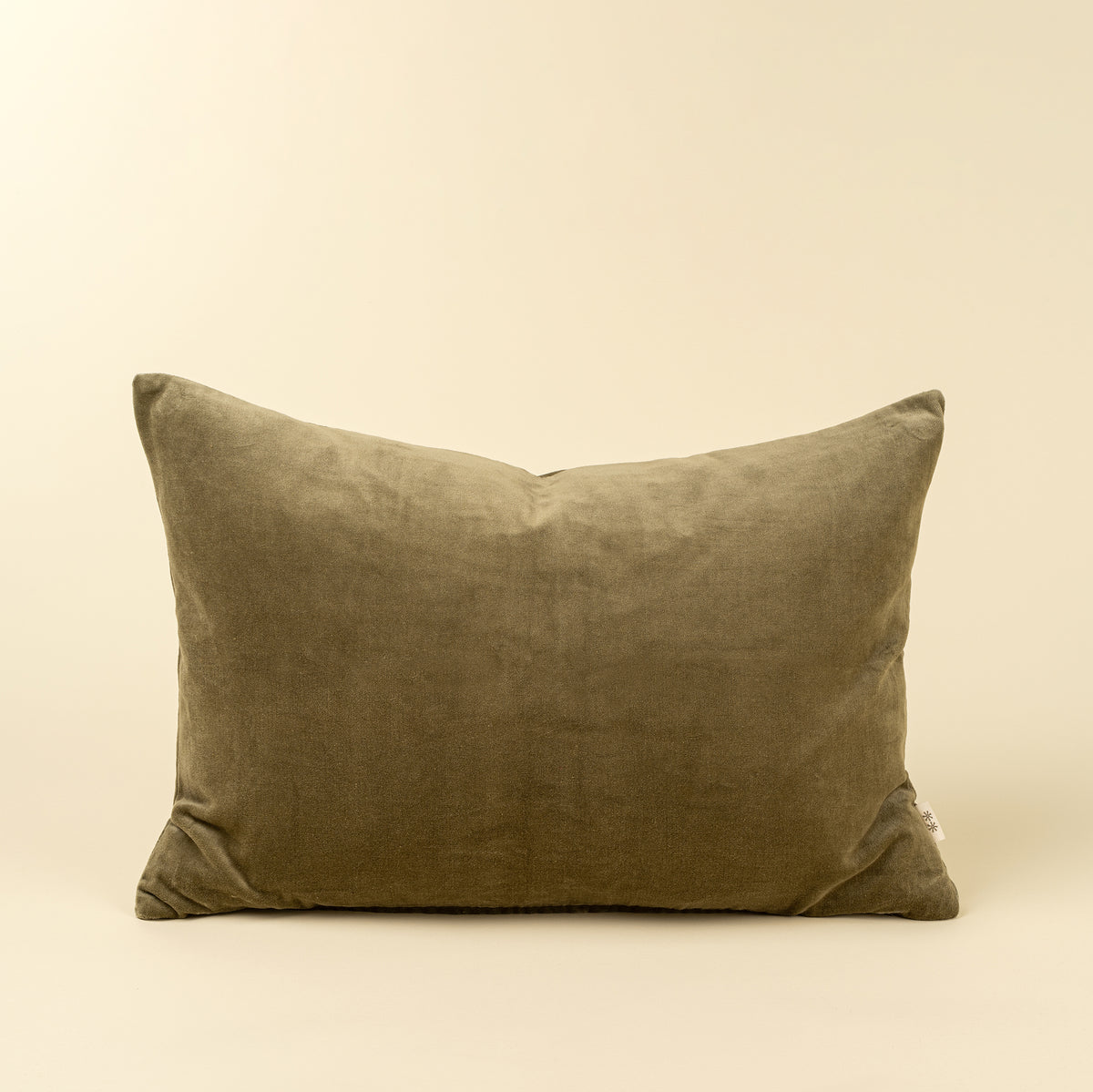 Vera Velvet Pillow 16x24 with Insert