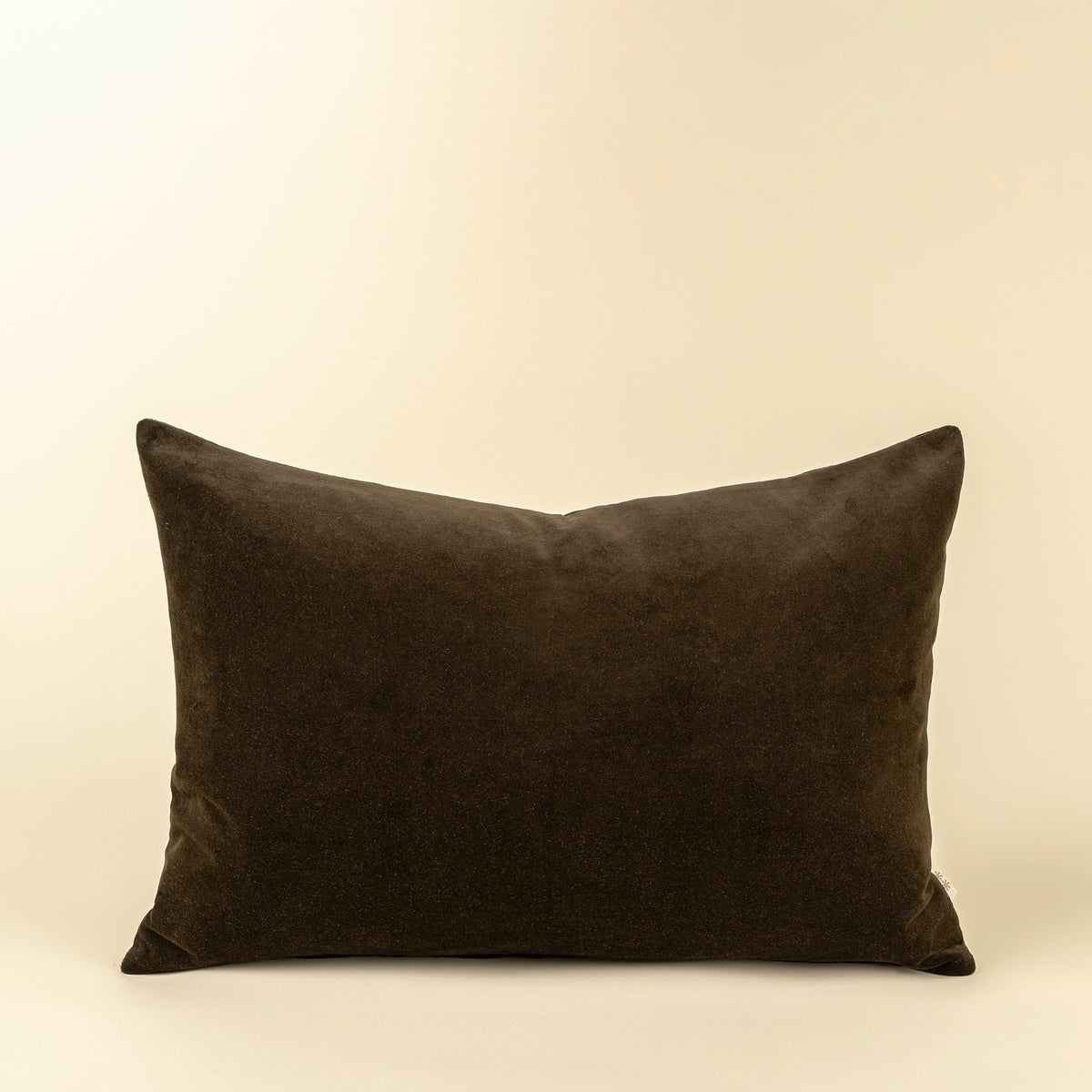 Vera Velvet Pillow 16x24 with Insert