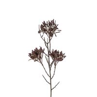Wild Flower Spray, Dark Purple