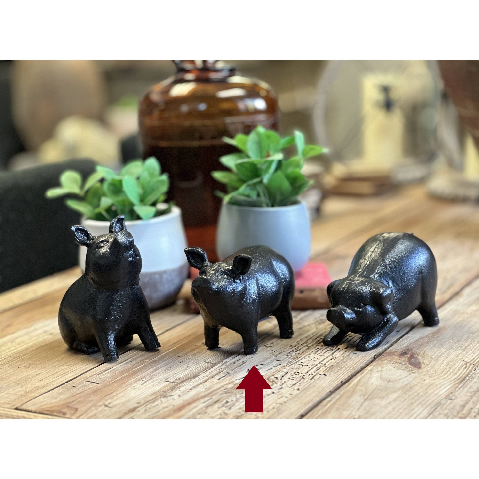 Cast Iron Pig, Standing - Magnolia Lane co. Home + Garden + Gift