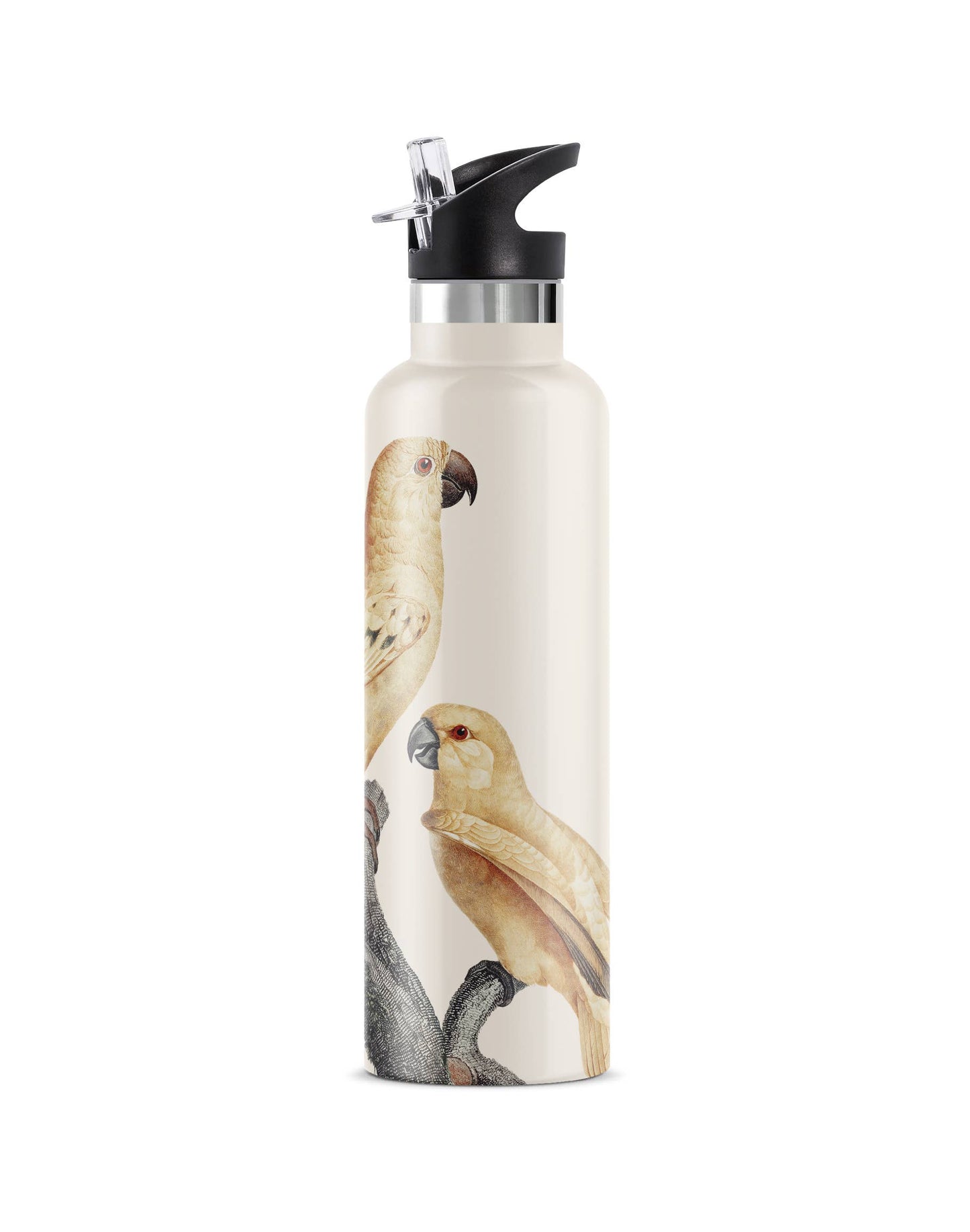 Perico | Vintage Parrot Insulated Water Bottle 25oz