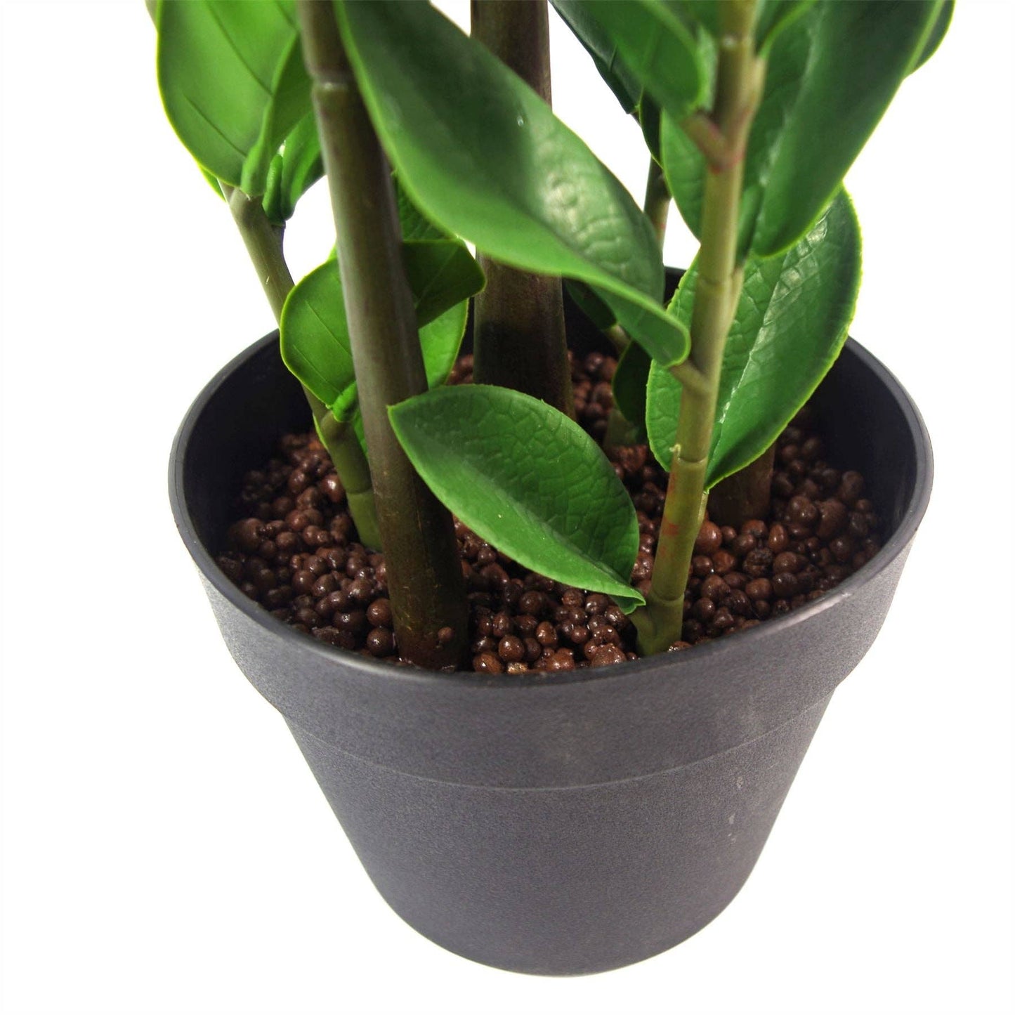Large ZZ Plant Foliage 75cm Zanzibar Gem Plant
