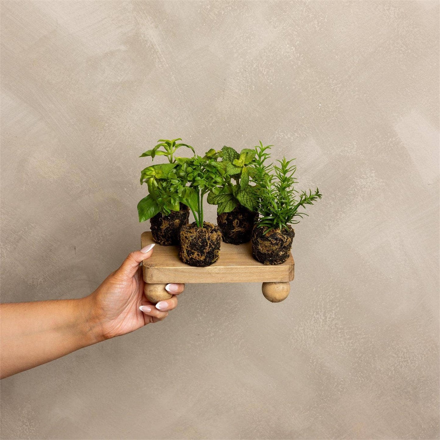 Herbs - Herbs In Soil Unpotted