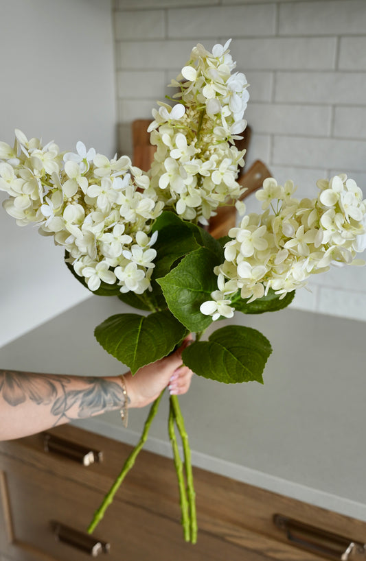 Faux Hydrangea Paniculata | Cream