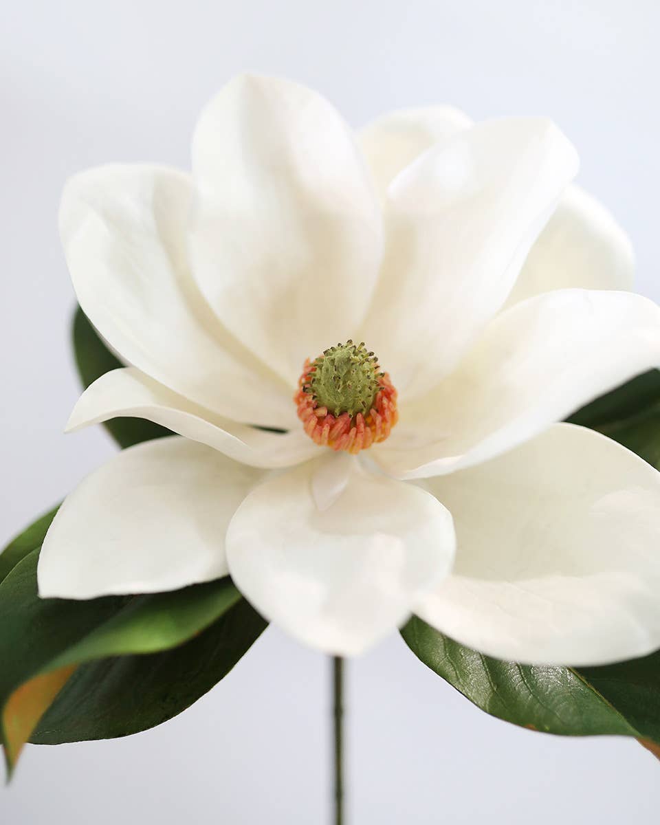 White Faux Magnolia 29"