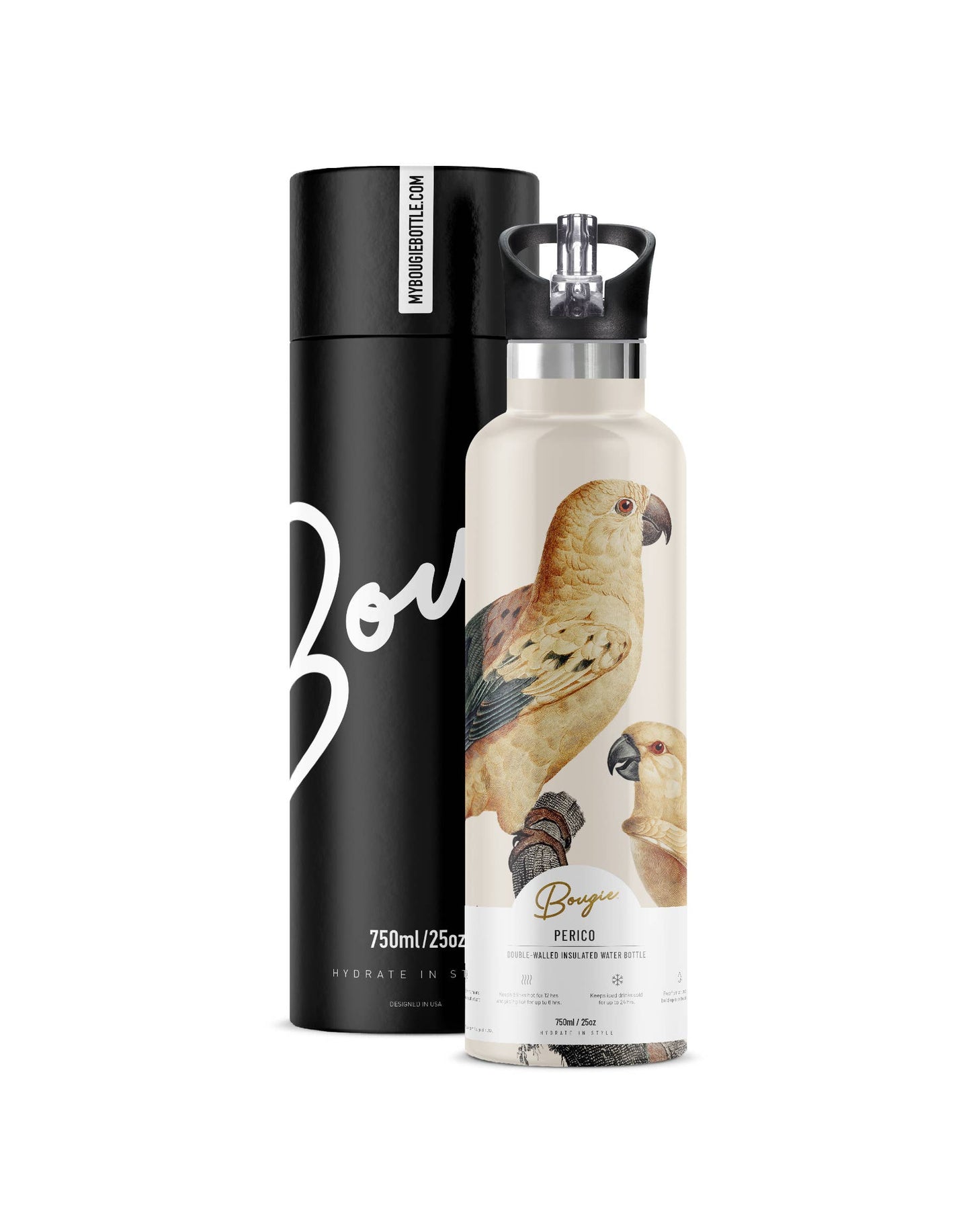 Perico | Vintage Parrot Insulated Water Bottle 25oz