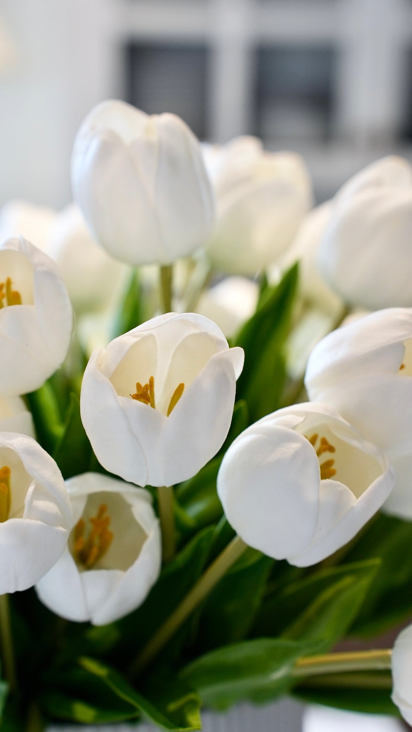 Ivory Cream Real Touch Tulips