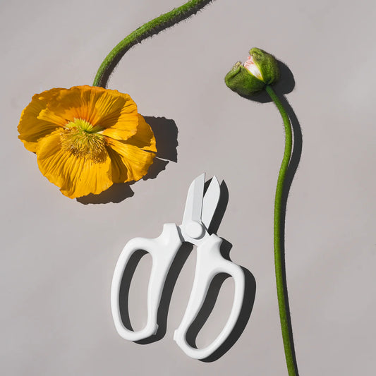 Camilia Flower Snip