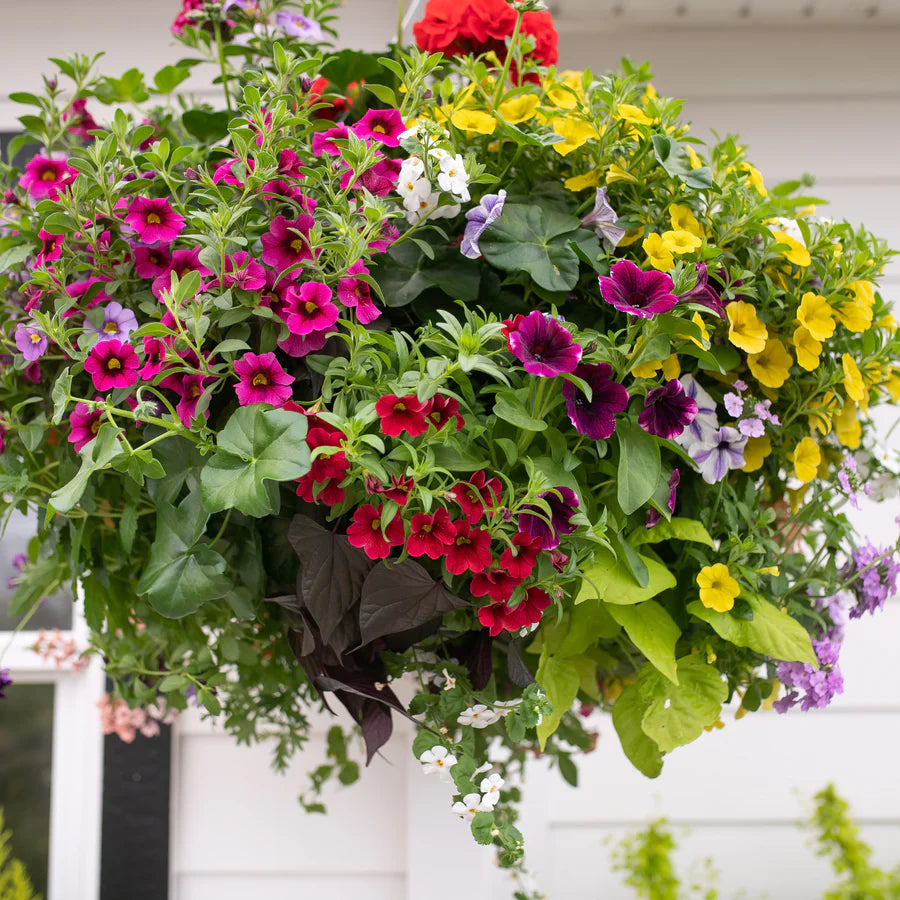 16" Mixed Moss Basket