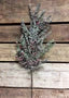 19.5" FROSTED CEDAR AND RED BERRIES SPRAY