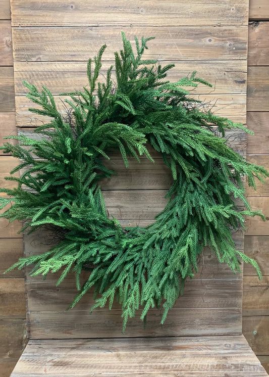 12" INSIDE DIM, 24" OUTSIDE DIM, FRESH TOUCH NORFOLK PINE WREATH ON NATURAL FRAME