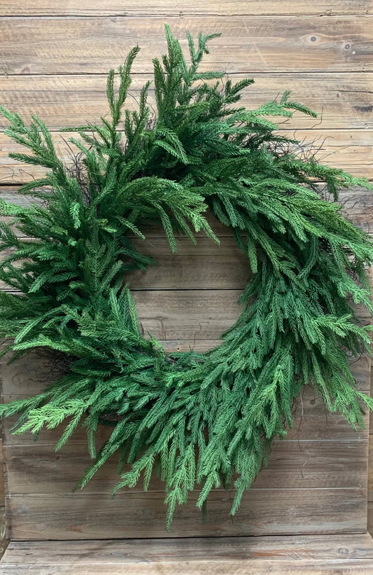 14" INSIDE DIM, 30" OUTSIDE DIM, FRESH TOUCH NORFOLK PINE WREATH ON NATURAL FRAME