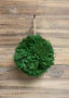 7" FRESH TOUCH CEDARS KISSING BALL