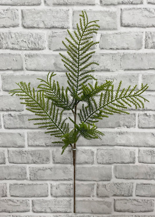 24" FRESH TOUCH CYPRESS SPRAY