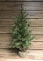 36" PINE TREE WITH PINE CONES WITH A BURLAP BASE