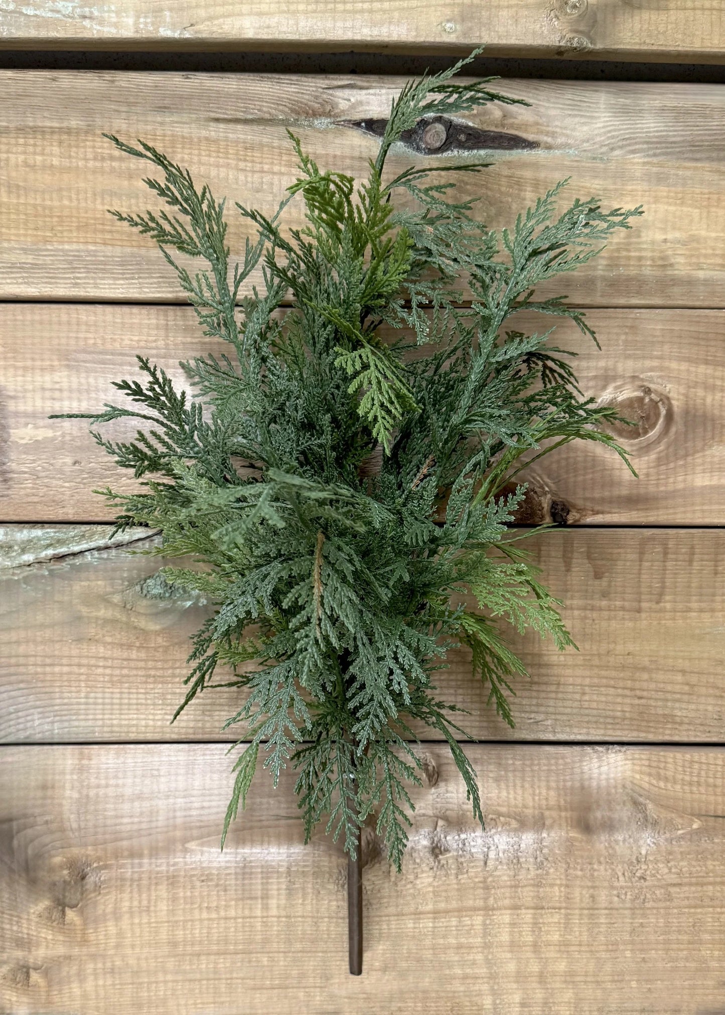 22" FRESH TOUCH NORTHERN WHITE CEDAR BUSH