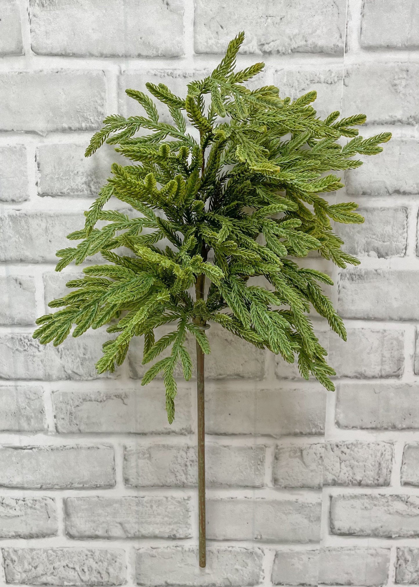 23" FRESH TOUCH BABY NORFOLK ISLAND PINE SPRAY