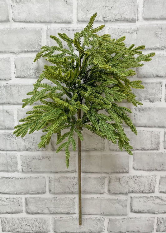 23" FRESH TOUCH BABY NORFOLK ISLAND PINE SPRAY