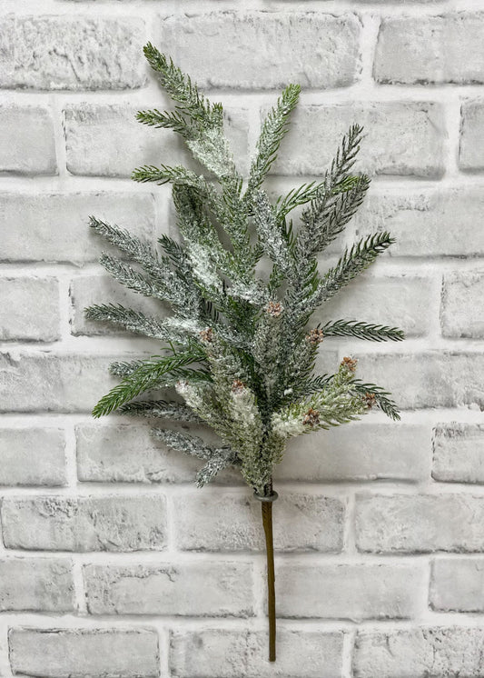 20.5" FRESH TOUCH SNOWY NORFOLK PINE SPRAY