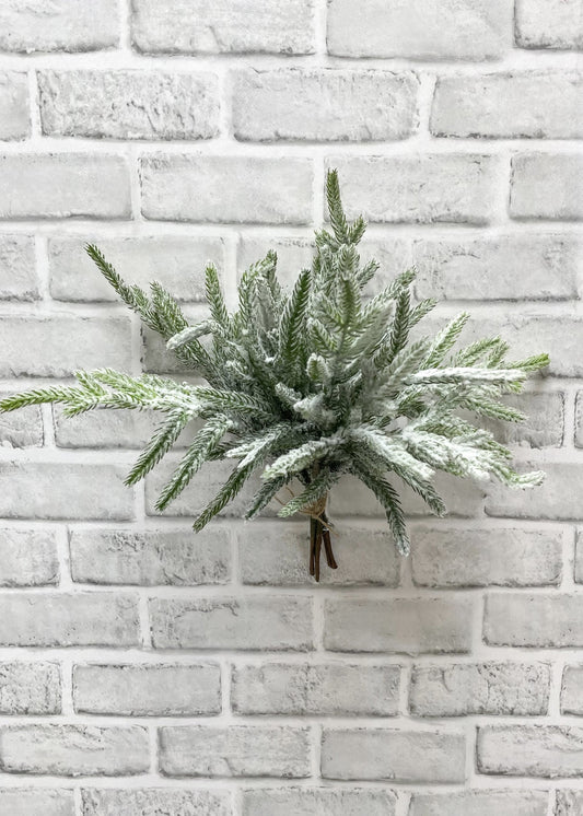 12" SNOWY NORFOLK PINE BUNDLE - 5 STEMS PER BUNDLE