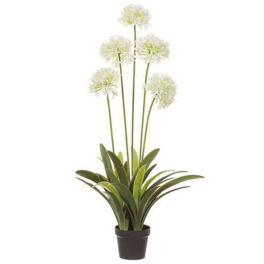 Faux CREAM AGAPANTHUS 45.4" PLANT IN POT