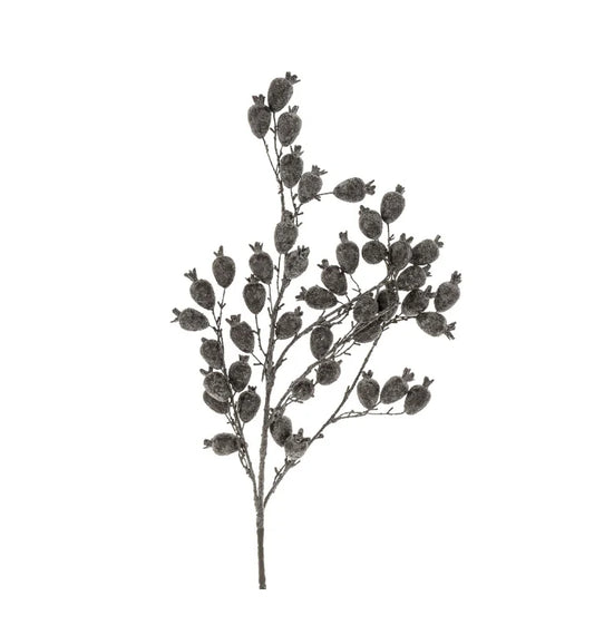 Dried Berry Branch, Grey