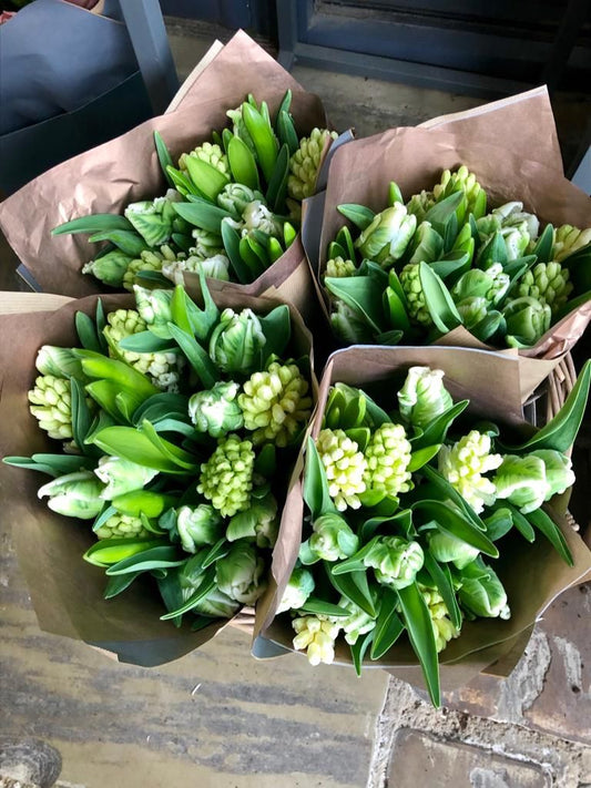 Fresh Hyacinth Market Bunch
