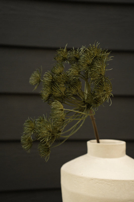 Wild Angelica Stem, Green