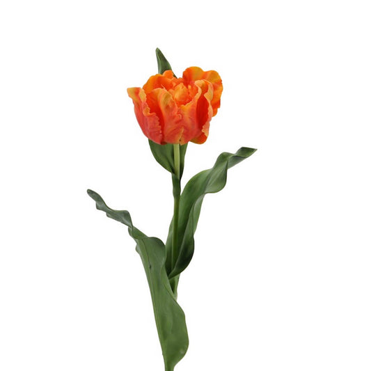 Parrot tulip 67 cm orange