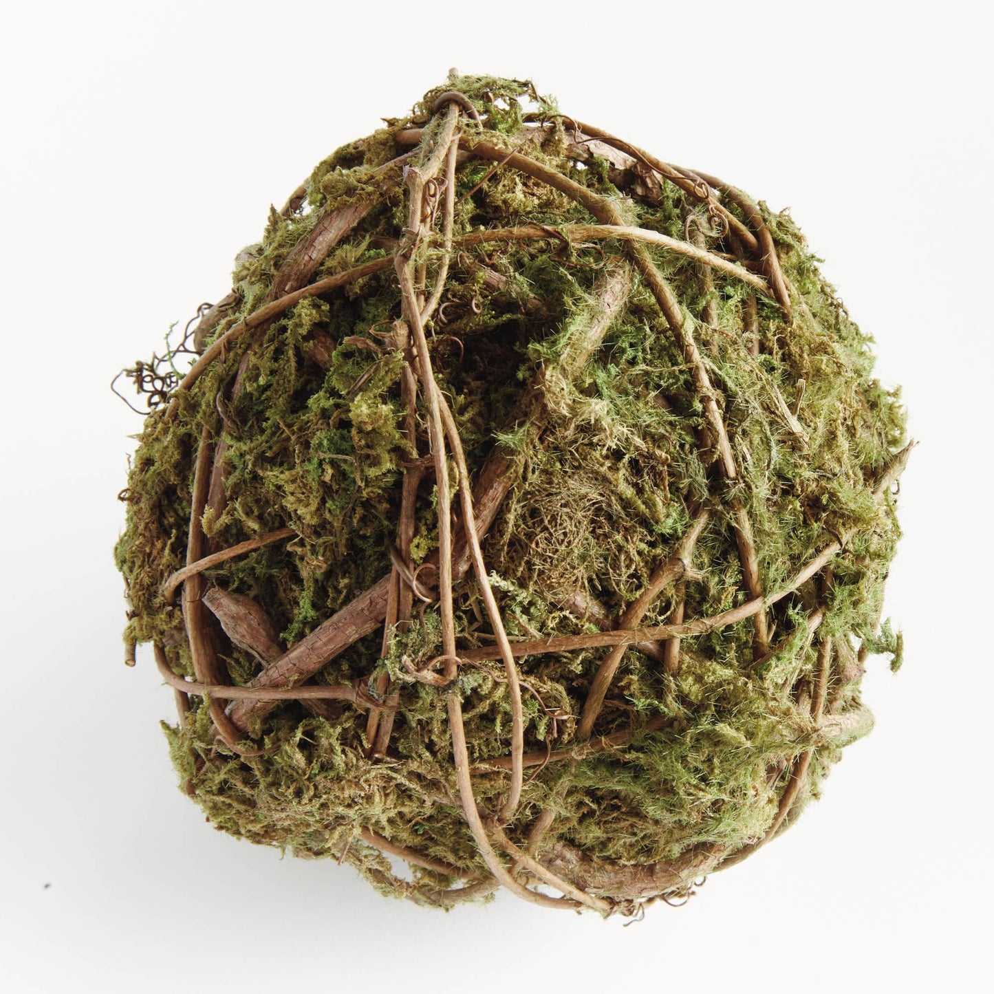 Mossy Vine Orb 6"