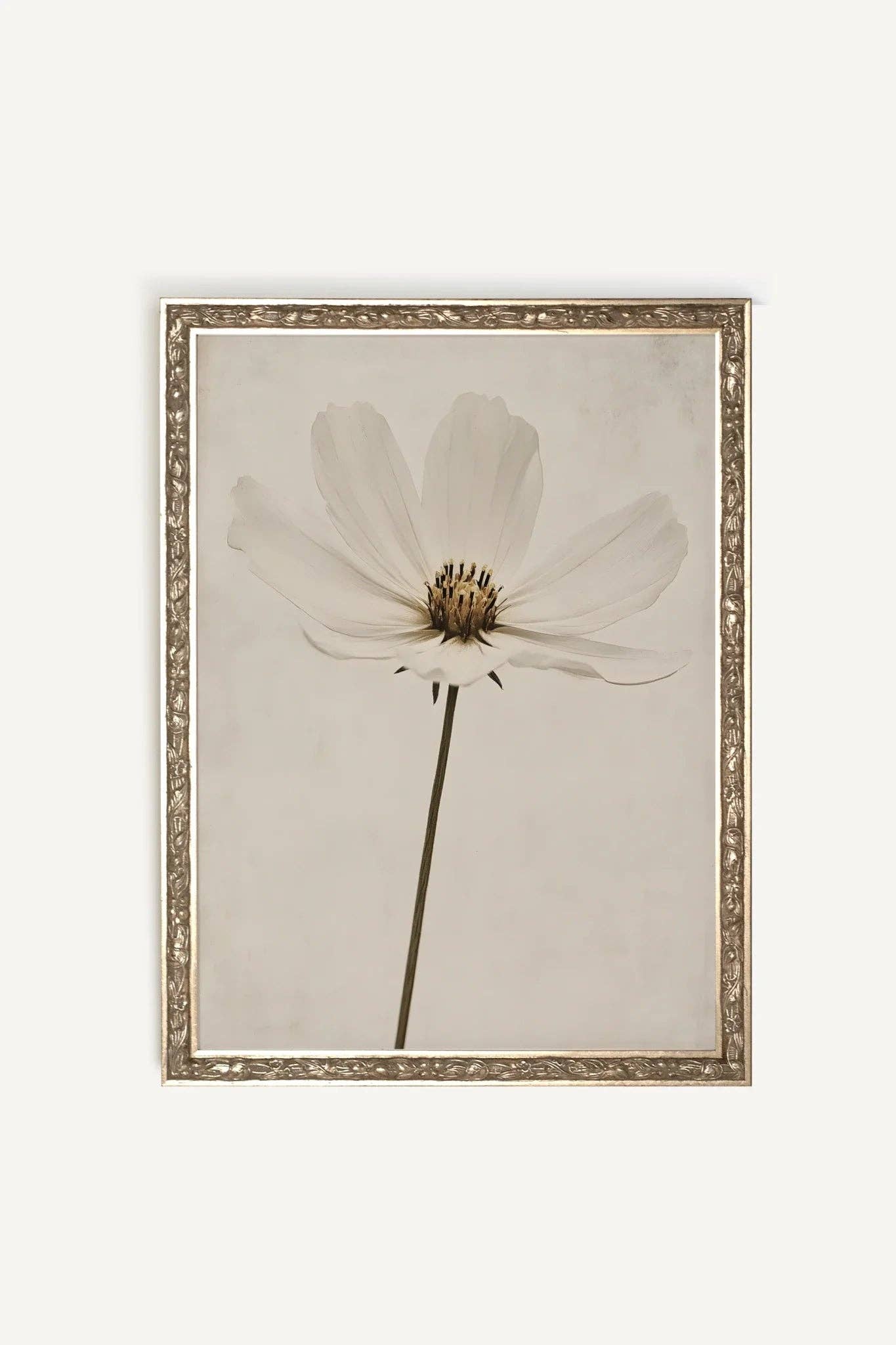 PÉTALE D'IVOIRE, Oeuvre sur toile rigide, encadré Vintage Argent - Magnolia Lane co. Home + Garden + Gift