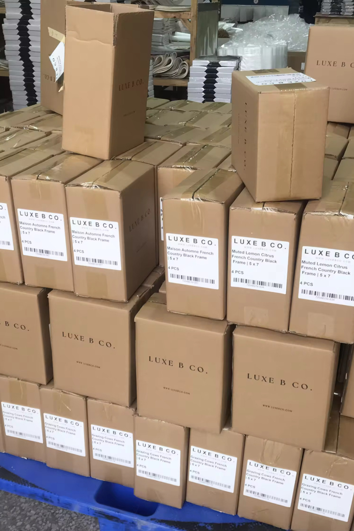 Vintage Dried Flower Pot | French Country Brass Gold Framed Art