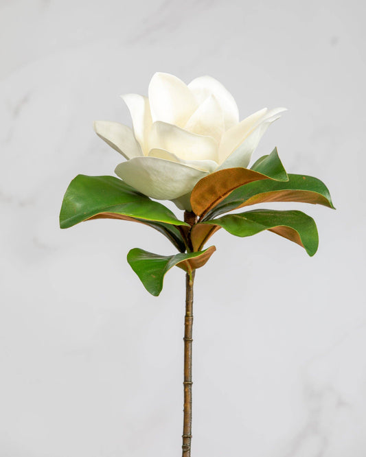 White Faux Magnolia 29"