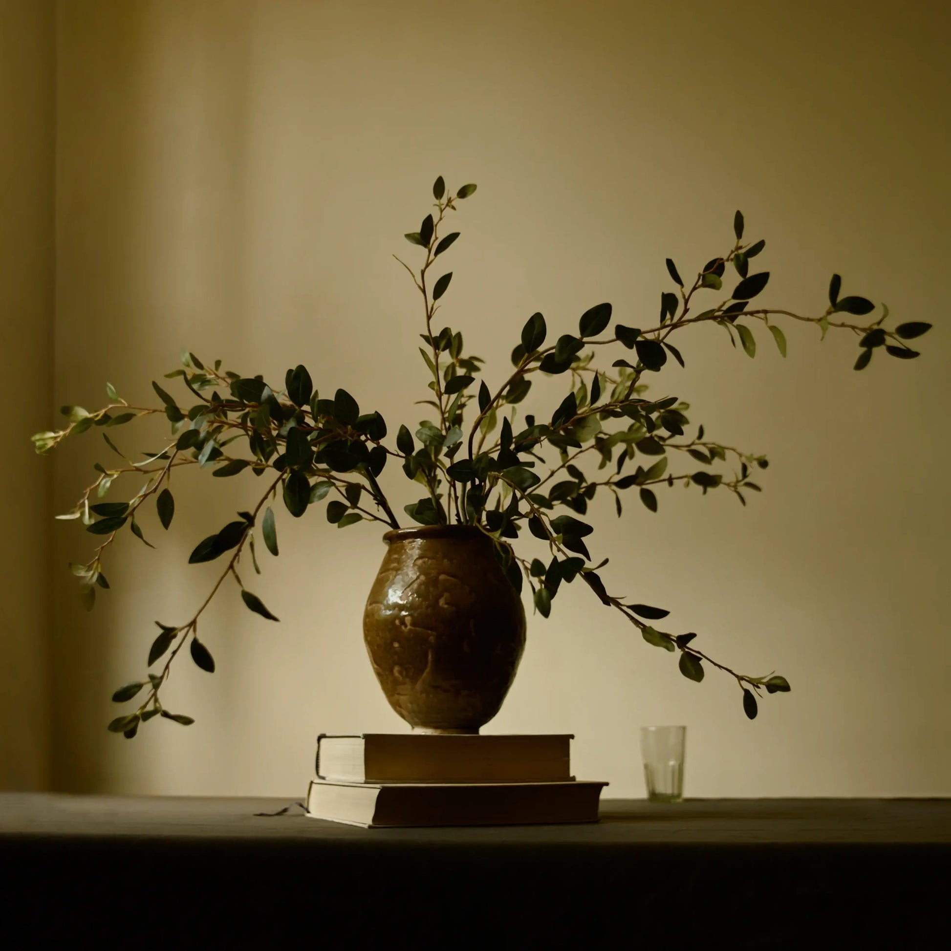 Creeping Willow Branch (Salix Repens) - Magnolia Lane co. Home + Garden + Gift
