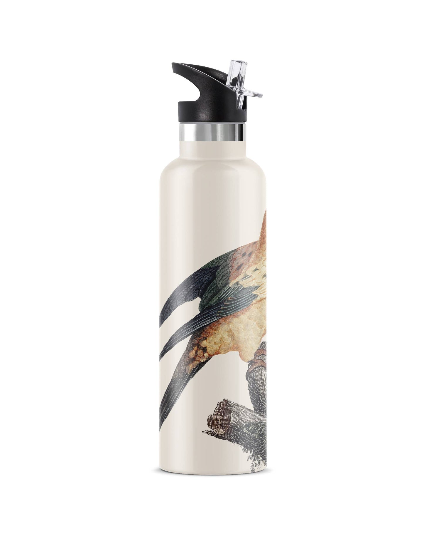 Perico | Vintage Parrot Insulated Water Bottle 25oz