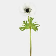 Real Touch White Anemone 17.5”