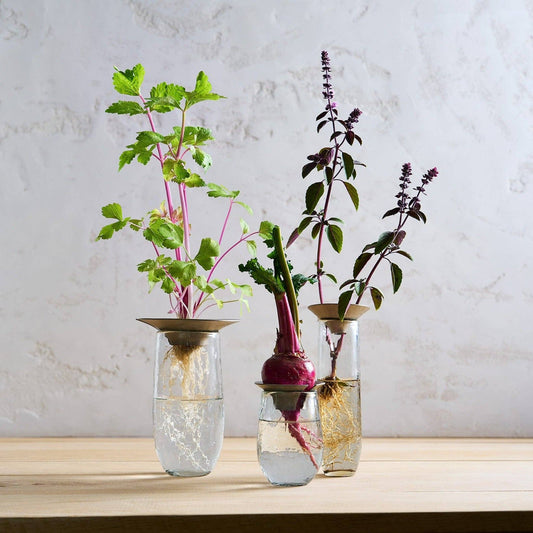 Floral Propogate Assorted - Three sizes