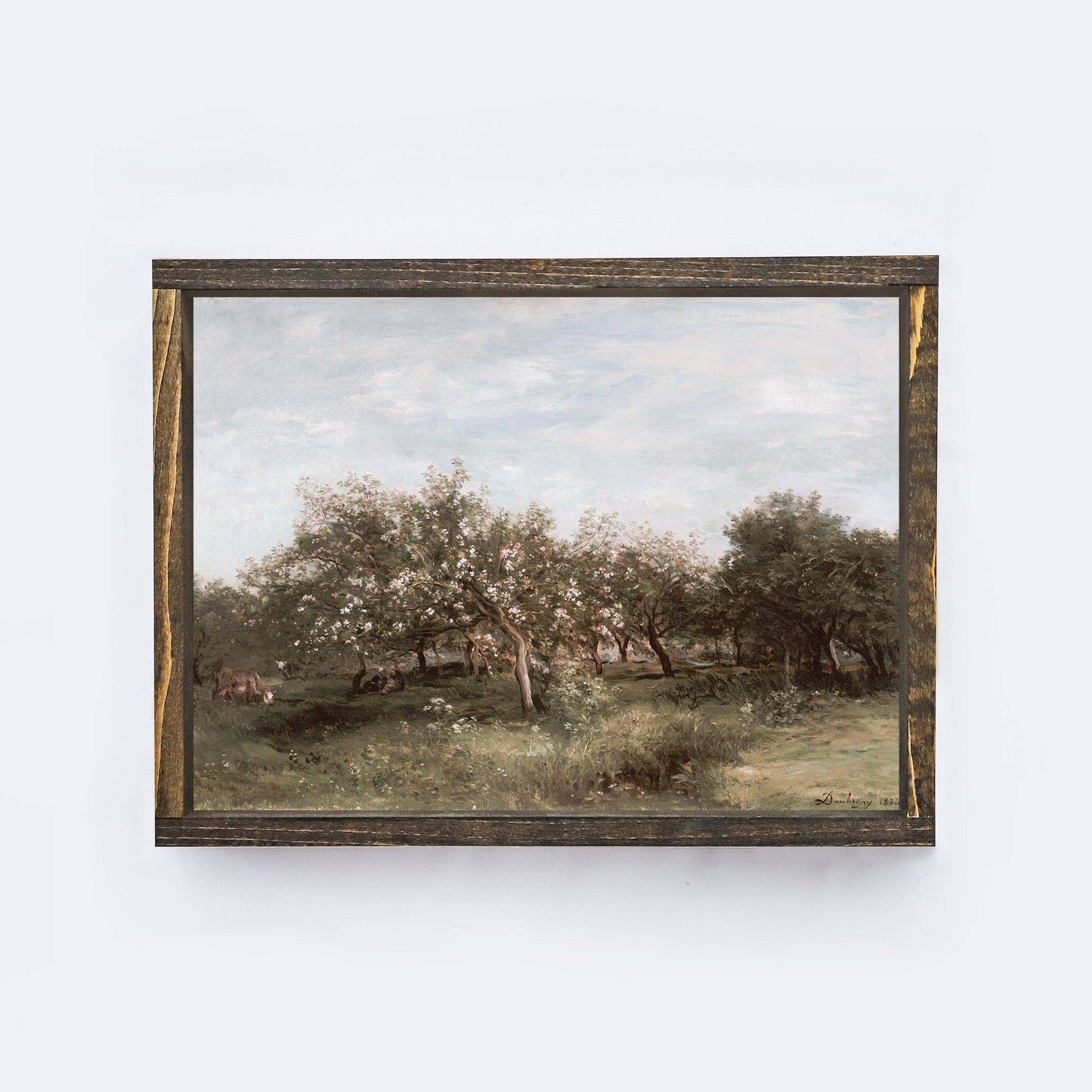 Vintage Print Framed | Apple Orchards A25