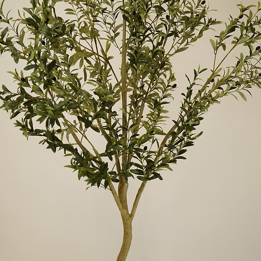 8' Faux Olive Tree