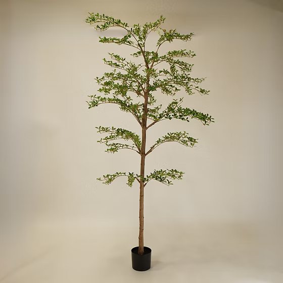 Faux Shady Lady Tree | Multiple Sizes - Magnolia Lane co. Home + Garden + Gift