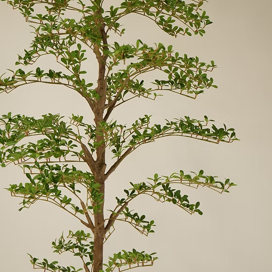 Faux Shady Lady Tree | Multiple Sizes - Magnolia Lane co. Home + Garden + Gift