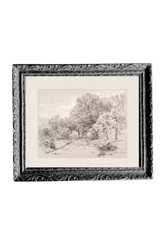 Summer Field Sketch | French Black Mould Framed Art