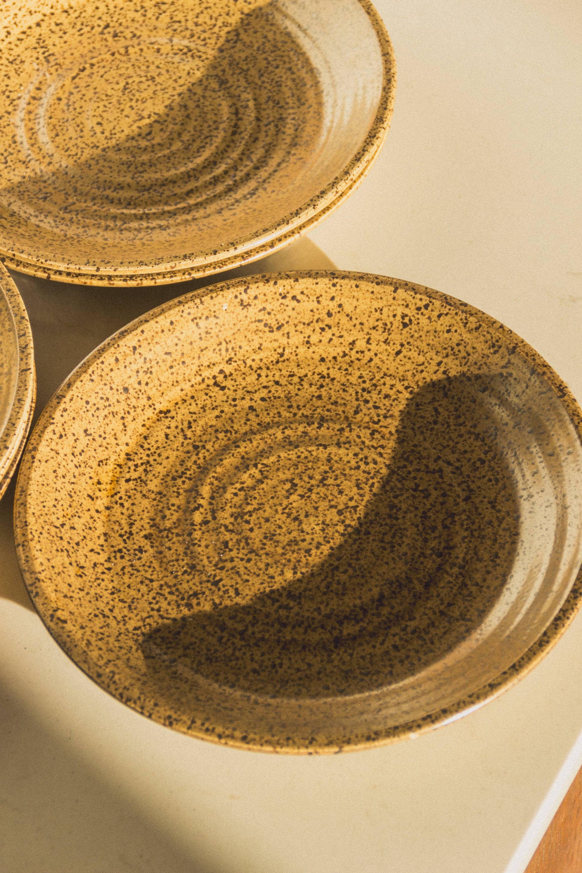 Stoneware plates: set of 4 - Magnolia Lane co. Home + Garden + Gift