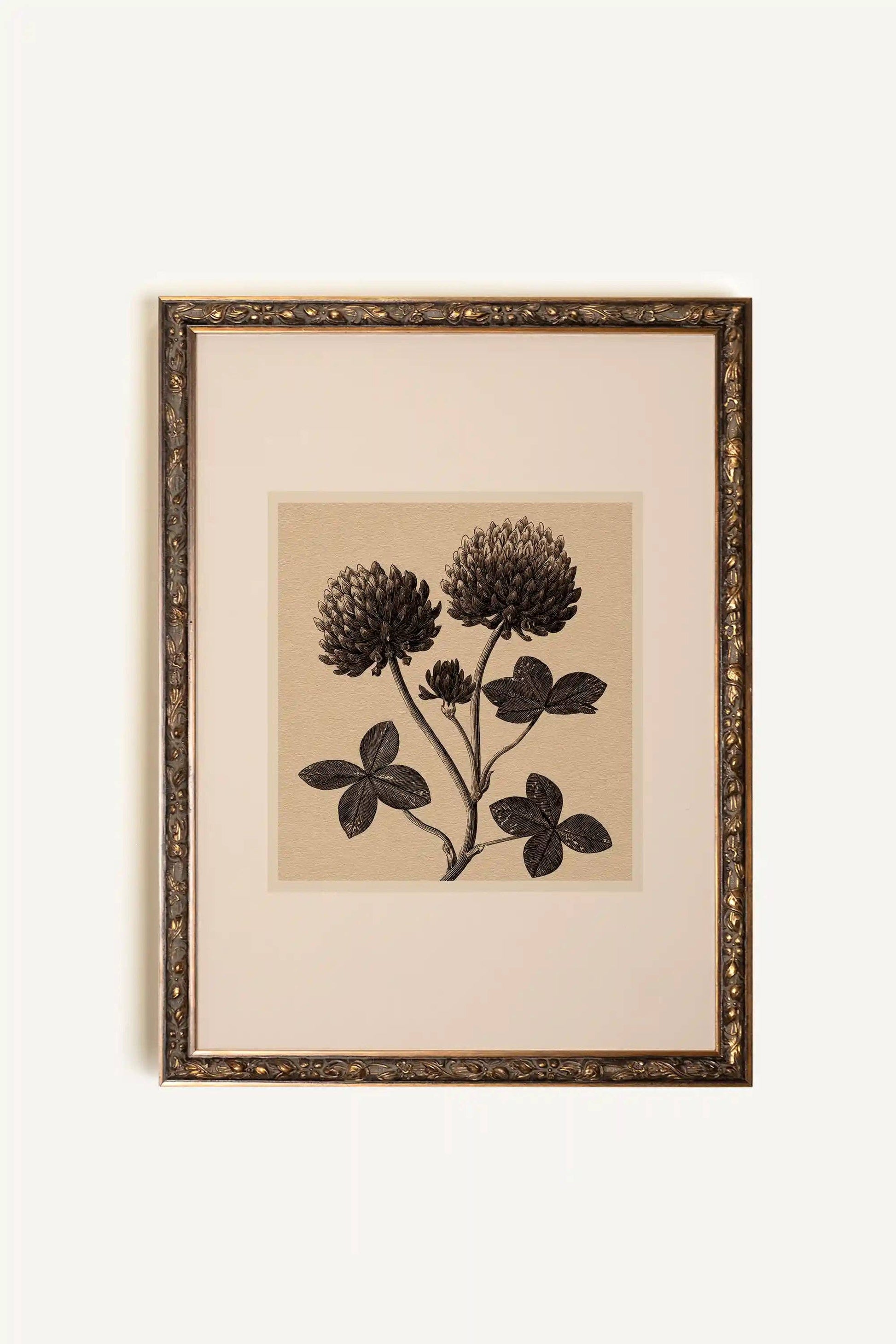 FIELD RELIC, Oeuvre sur toile étirée, encadré Vintage Bronze - Magnolia Lane co. Home + Garden + Gift