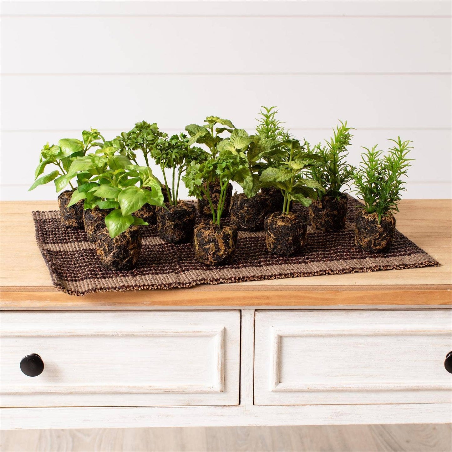 Herbs - Herbs In Soil Unpotted