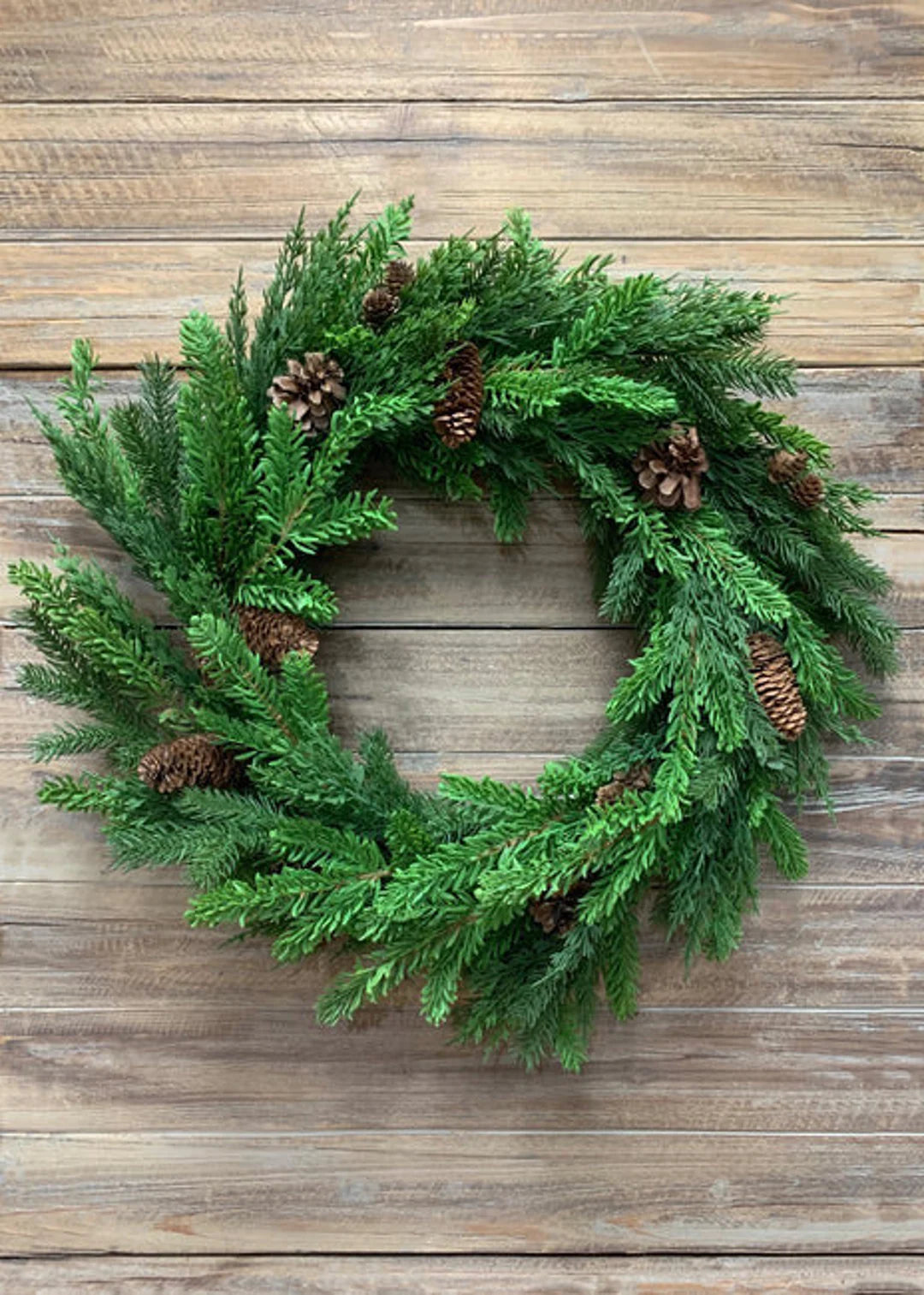 24" FRESH TOUCH PINE, SPRUCE AND CYPRESS WREATH WITH PINE CONES