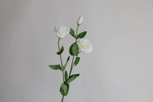27.5" Faux Real Touch  Cream Lisianthus Stem
