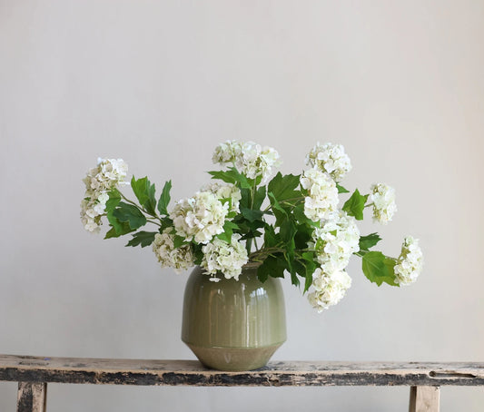 White Snowball Bush Viburnum Stem