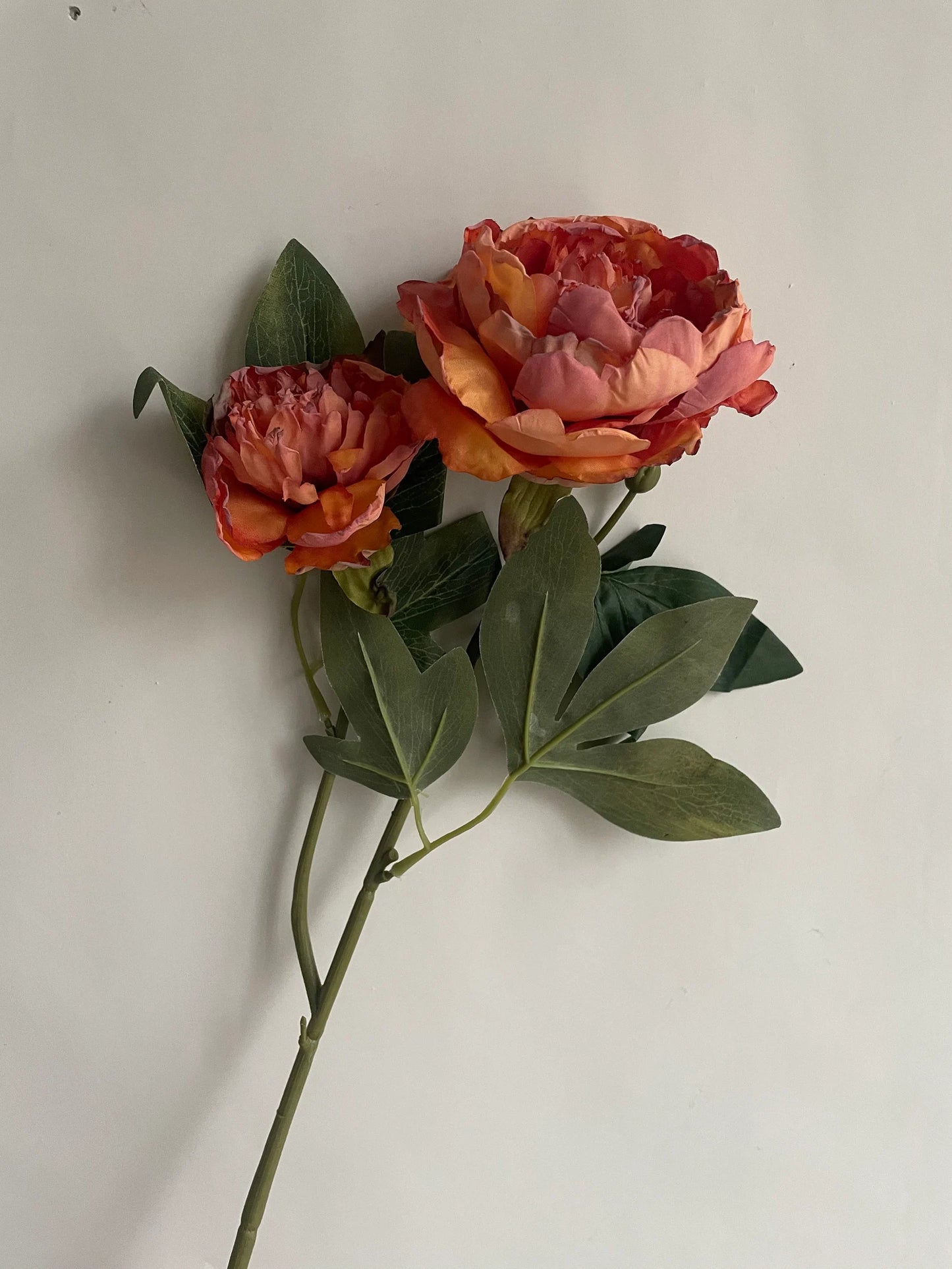 Faux Dried Fall Peony